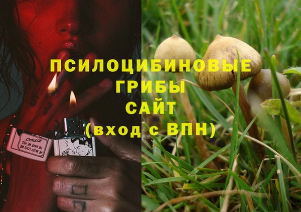 PSILOCYBIN Абаза