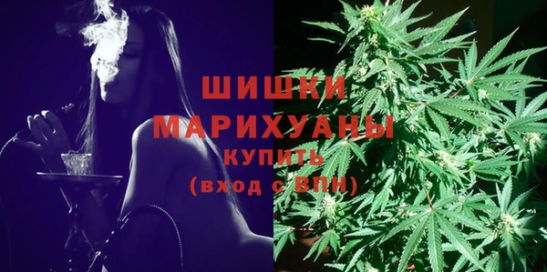 PSILOCYBIN Абаза