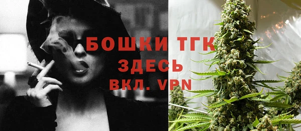 PSILOCYBIN Абаза