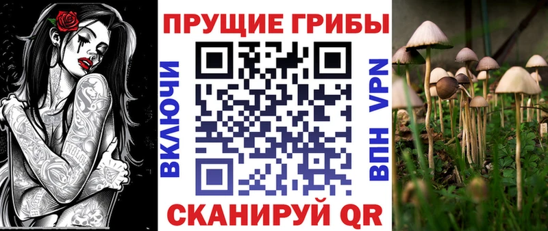 Псилоцибиновые грибы MAGIC MUSHROOMS  Томилино 
